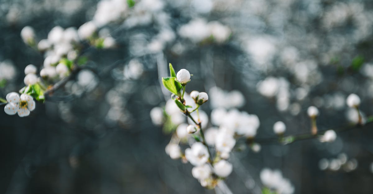 Colourful plate of plant-based food with vegetables legumes and grains