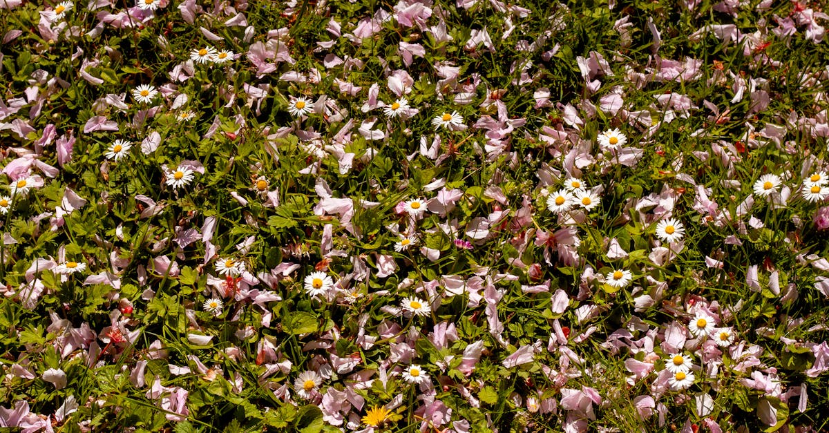 Cosy living room with warm blankets and a hot drink on a side table